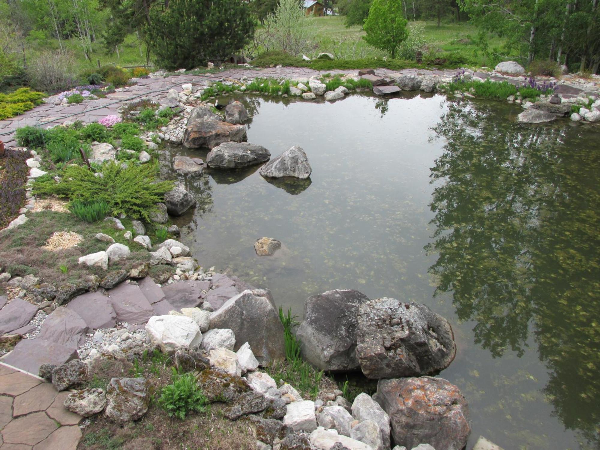 Beard'S Creek Bed And Breakfast Parson Bagian luar foto
